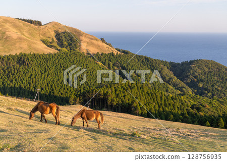 <宮崎縣>黃昏時分的土井岬與馬匹 128756935