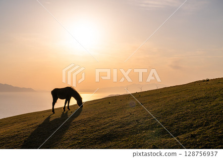 <宮崎縣>黃昏時分的土井岬與馬匹 128756937