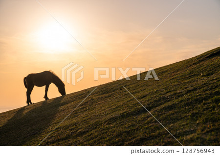<宮崎縣>黃昏時分的土井岬與馬匹 128756943