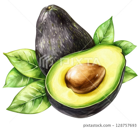Avocado with cut in half and leaf transparent watercolor PNG clipart isolated on white background. 128757693