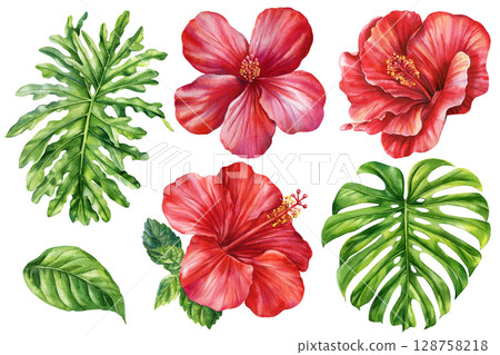 Watercolor red hibiscus flowers and tropical green leaves clipart set for summer design and exotic floral decoration 128758218