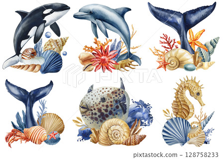 Watercolor marine animals with coral reef seashells dolphin whale seahorse orca and tropical fish set 128758233