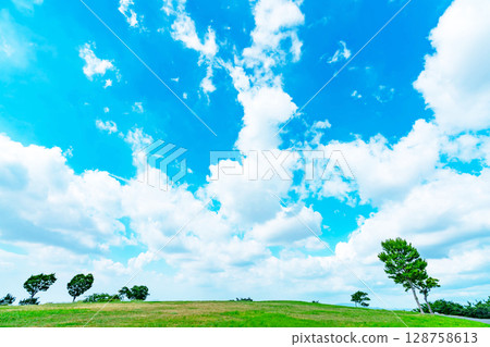 藍天和雲彩和大草原 藍天和雲彩和大草原 128758613