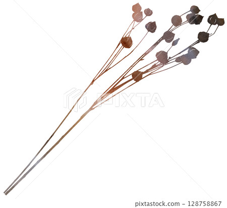 Watercolor dried stick with seed pods in brown tones, boho autumn wedding isolated illustration Watercolor dried stick with seed pods in brown tones, boho autumn wedding isolated illustration 128758867