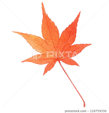 Fallen leaves illustration maple watercolor one piece Fallen leaves illustration maple watercolor one piece 128759330