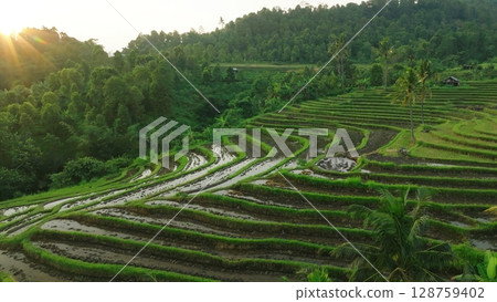 Panoramic View of Rice Terraces in Bali, Indonesia. Top aerial drone view of green rice fields. Panoramic View of Rice Terraces in Bali, Indonesia. Top aerial drone view of green rice fields. 128759402