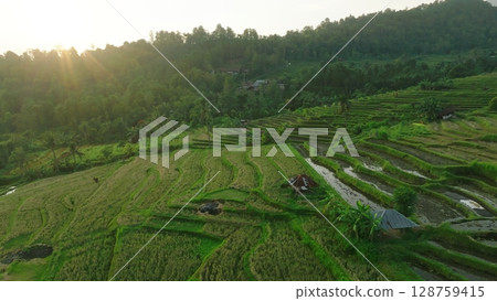 Panoramic View of Rice Terraces in Bali, Indonesia. Top aerial drone view of green rice fields. 128759415