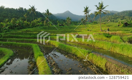 Panoramic View of Rice Terraces in Bali, Indonesia. Top aerial drone view of green rice fields. Panoramic View of Rice Terraces in Bali, Indonesia. Top aerial drone view of green rice fields. 128759421