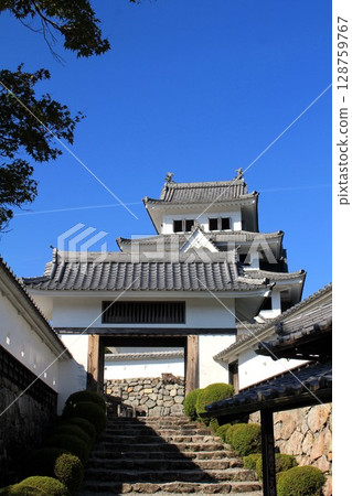 郡上八幡城 128759767