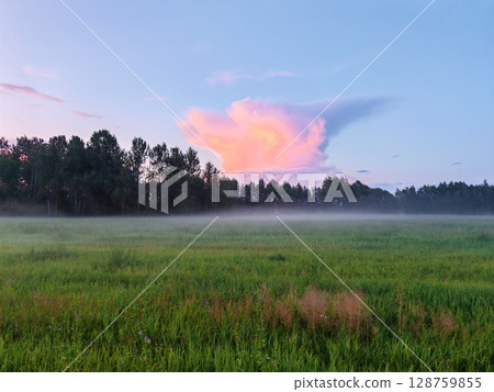 Beautiful summer landscape and peaceful view in the rainy season. vast green fields stretch out in front of us. evening, covered with thick fog 128759855