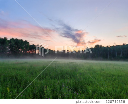 Beautiful summer landscape and peaceful view in the rainy season. vast green fields stretch out in front of us. evening, covered with thick fog 128759856