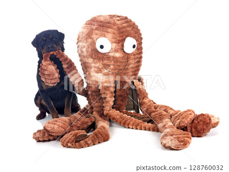 toy for dog toy for dog 128760032