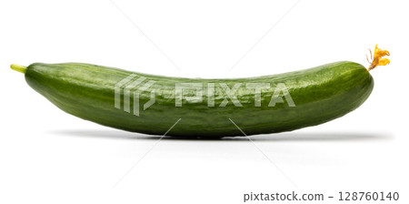 Photo of green ripe natural organic cucumber isolated on white background 128760140