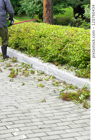 Gardener using a trimmer to maintain a neatly trimmed hedge along a paved walkway, surrounded by lush greenery and a serene outdoor environment showcasing landscaping skills Gardener using a trimmer to maintain a neatly trimmed hedge along a paved walkway, surrounded by lush greenery and a serene outdoor environment showcasing landscaping skills 128760434