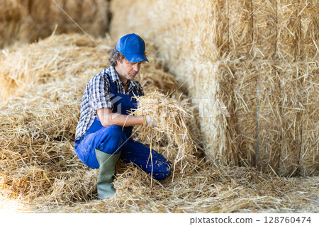Male farmer checking straw in warehouse 128760474