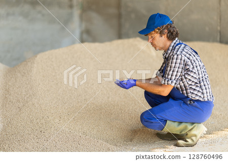 Middle-aged male farmer checking granulated feed Middle-aged male farmer checking granulated feed 128760496