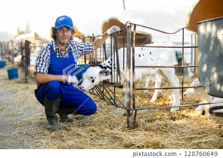 Middle-aged male farmer standing next to fencing with calf 128760649