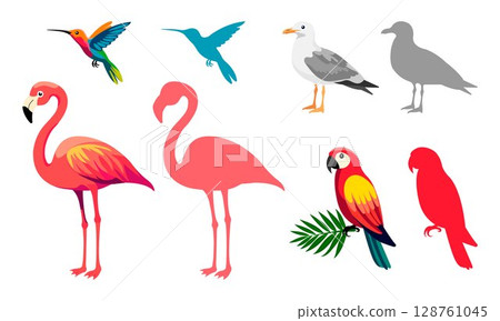 Tropical Birds Set 128761045
