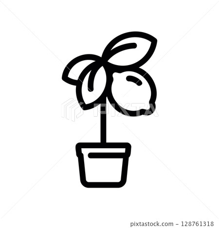 Line art icon of a small lemon tree growing in a pot Line art icon of a small lemon tree growing in a pot 128761318