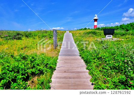 濱名洲丘陵公園風景（北海道石漾市） 128761592