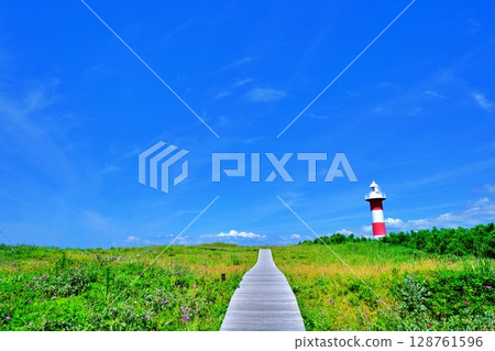 濱名洲丘陵公園風景（北海道石漾市） 128761596
