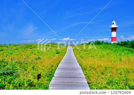 濱名洲丘陵公園風景（北海道石漾市） 128761604