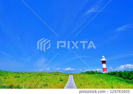 濱名洲丘陵公園風景（北海道石漾市） 128761605