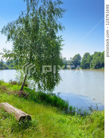 lake near forest. beautiful view of a nature landscape in summer. calm sunny morning in carpathian mountains. country scenery under clear blue sky. vacations in remote place 128761698