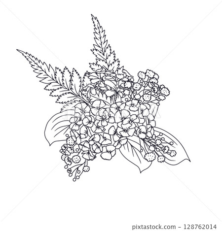Hand drawn black and white line art sweet william and babys breath flowers bouquet isolated on white background 128762014