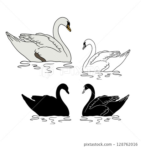 Monochrome hand drawn elegant swan silhouette swimming in water design elements set Monochrome hand drawn elegant swan silhouette swimming in water design elements set 128762016