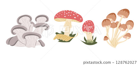 Colorful flat style illustration of three different mushroom types including edible and toadstool varieties 128762027