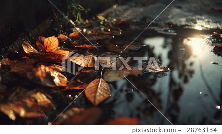 Autumn Leaves in a Puddle Reflecting Sunlight 128763134