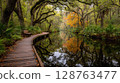 Autumnal Swamp Walkway with Reflections 128763477