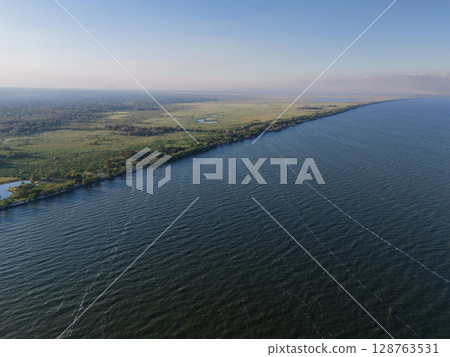 Lake shore with green swamp background Lake shore with green swamp background 128763531