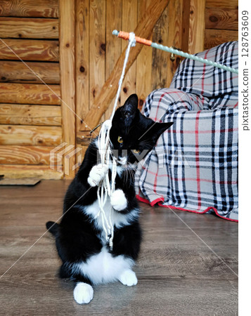 Playful black and white cat engaged in playful activity with string in a cozy wooden room 128763609