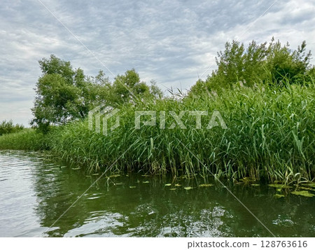 A pleasant walk along the river on a summer day. High video 4k A pleasant walk along the river on a summer day. High video 4k 128763616