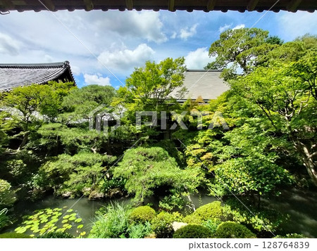 永觀堂(善林寺) 永觀堂(善林寺) 128764839
