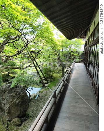 永觀堂(善林寺) 永觀堂(善林寺) 128764840