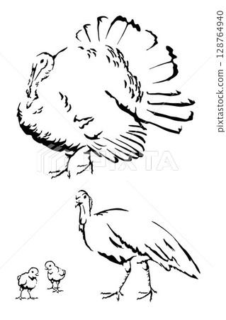 Tom turkey, hen turkey and poults, poultry farm animals with their baby, light and shadow vector illustration for education materials, children book, veterinary content and farm themed content Tom turkey, hen turkey and poults, poultry farm animals with their baby, light and shadow vector illustration for education materials, children book, veterinary content and farm themed content 128764940