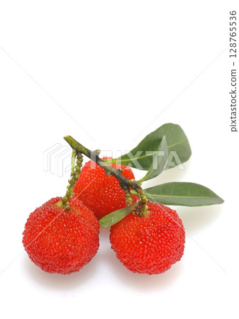 楊梅果實(垂直構圖) 楊梅果實(垂直構圖) 128765536