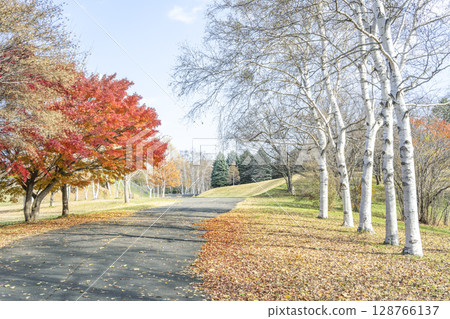 Makomanai Park in late autumn Sapporo 128766137