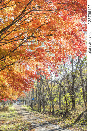 Makomanai Park in late autumn Sapporo 128766165