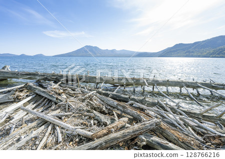 湖畔的浮木：支笏湖、布夫岳、鶴前山、千歲市 128766216