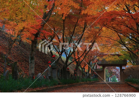 Temple with autumn leaves 128766900