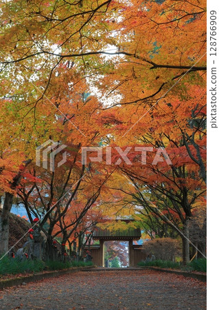Temple with autumn leaves 128766909