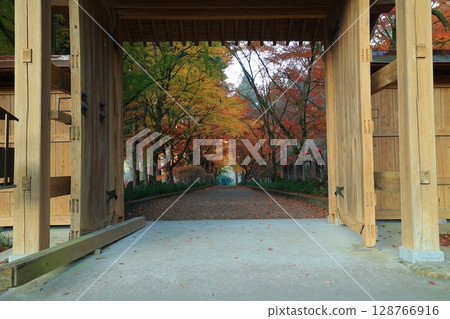 Temple with autumn leaves Temple with autumn leaves 128766916