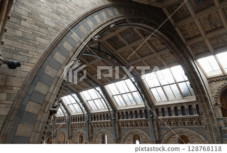 the prominent arched ceilings and walls with intricate detailing characteristic Romanesque and Gothic Revival architectural styles of The Natural History Museum. the prominent arched ceilings and walls with intricate detailing characteristic Romanesque and Gothic Revival architectural styles of The Natural History Museum. 128768118