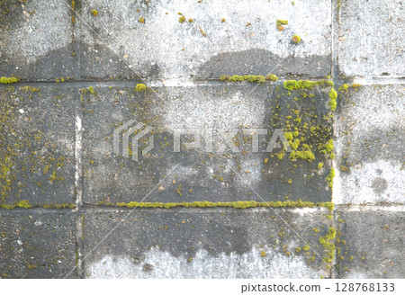 長滿青苔的混凝土牆 128768133