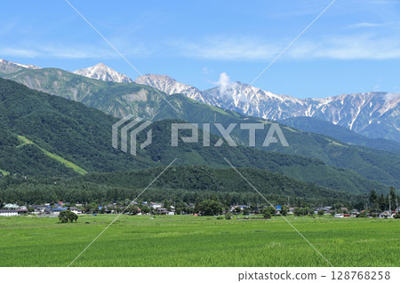 Summer in Hakuba: View of the Northern Alps from the foot of the mountain Summer in Hakuba: View of the Northern Alps from the foot of the mountain 128768258