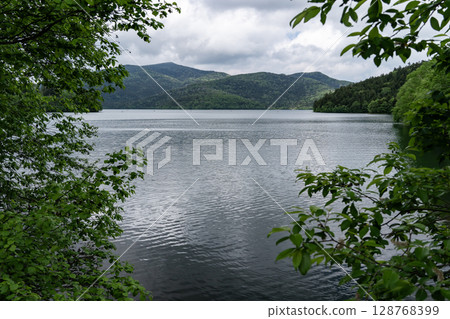 Lake Shikaribetsu with fresh greenery 128768399